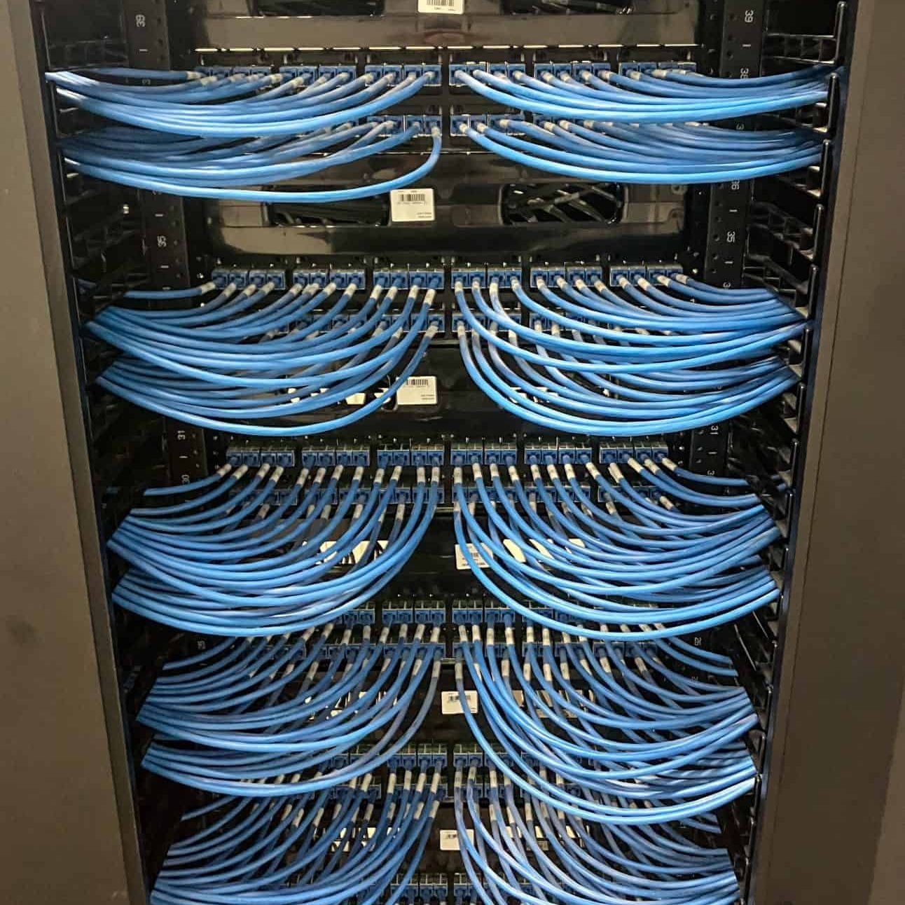 High-quality Ethernet cables organized in a server rack for reliable network connectivity.